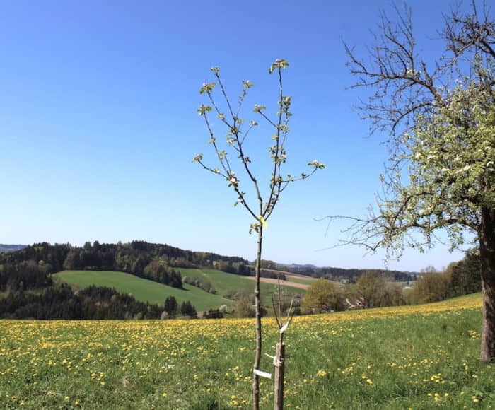Wir vom Arthofergut arbeiten im Einklang mit der Natur