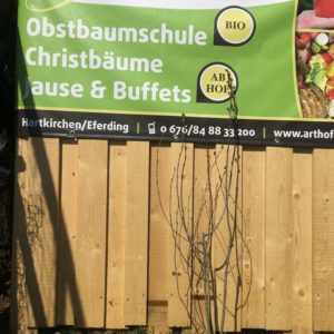 Felsenbirne