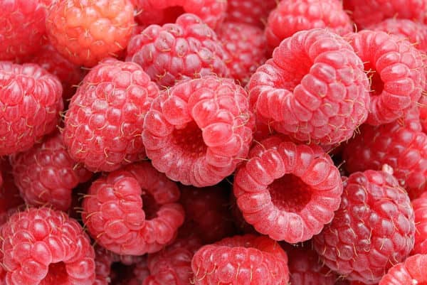 Himbeere – Bild 2